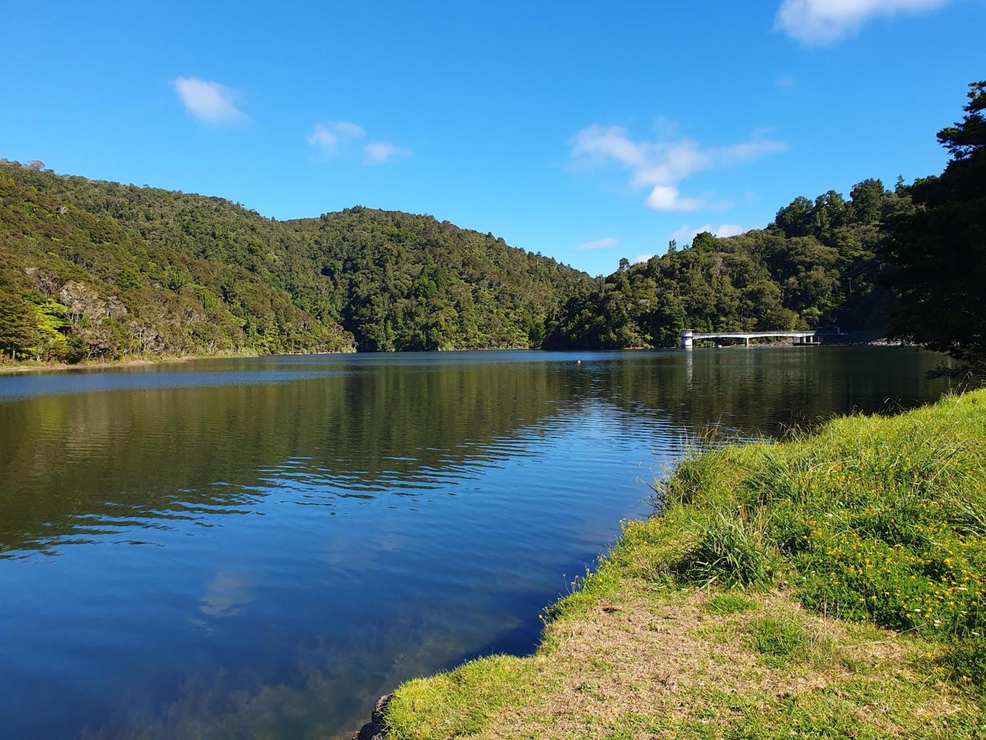 Quiet. Comfy Oasis In Whangarei Exteriér fotografie